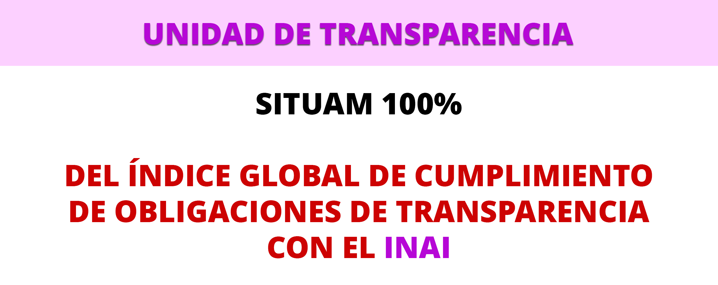 TEXTO TRANSPARENCIA